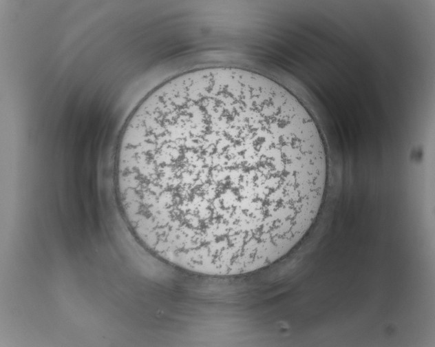 X0000111491098200908251019