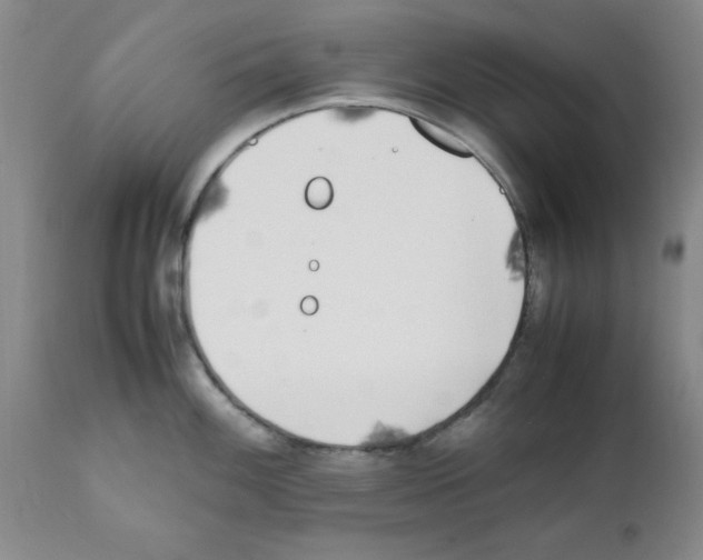 X0000111491100200908251019