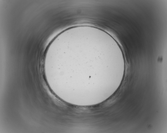 X0000111491101200908251019