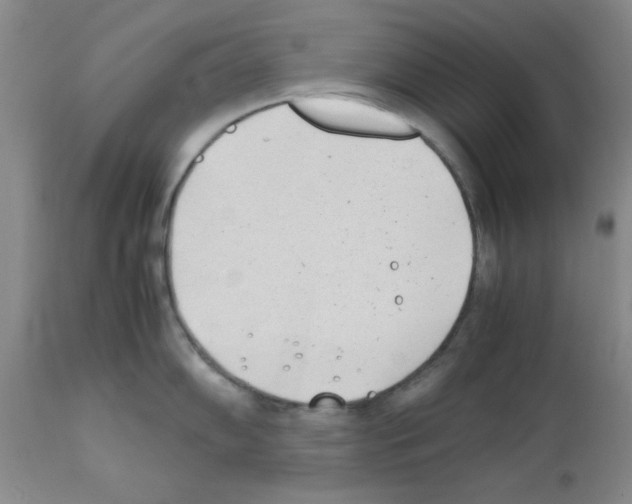 X0000111491102200908251019
