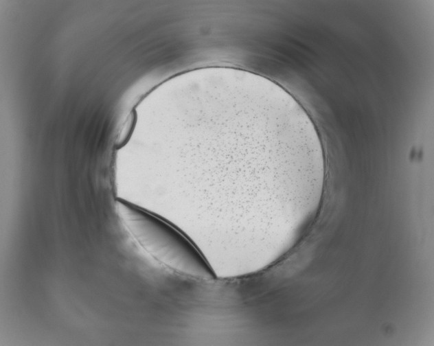 X0000111491104200908251019