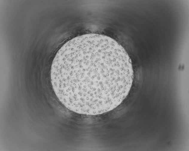 X0000111491105200908251019