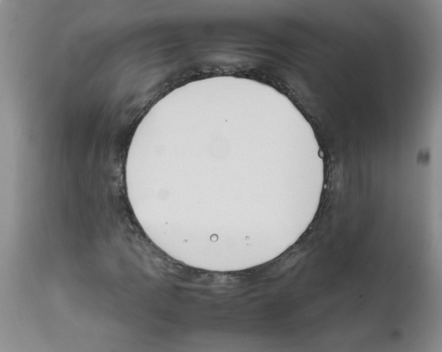 X0000111491109200908251019