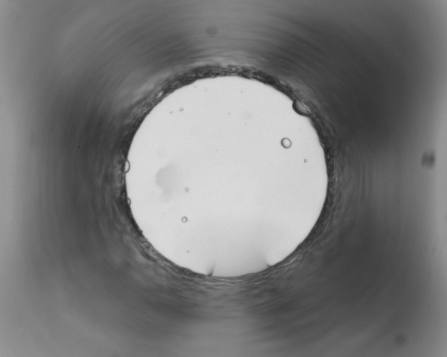X0000111491110200908251019