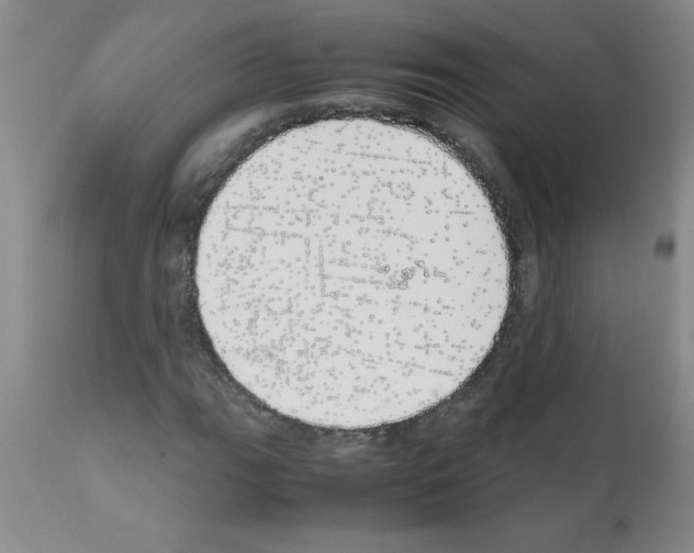 X0000111491111200908251019