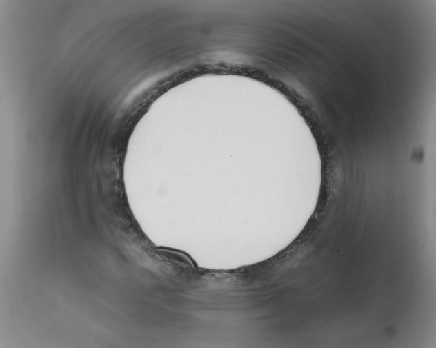 X0000111491112200908251019