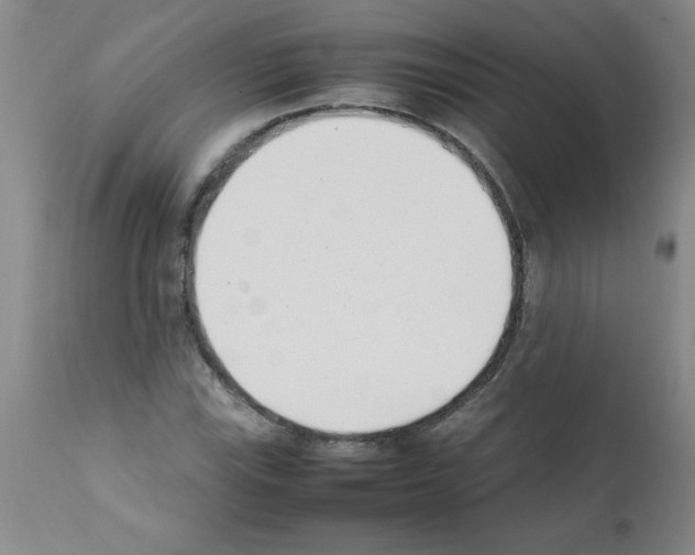 X0000111491115200908251019