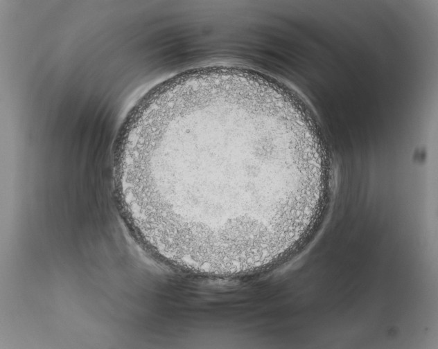 X0000111491117200908251019