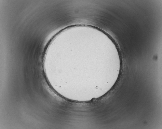 X0000111491120200908251019