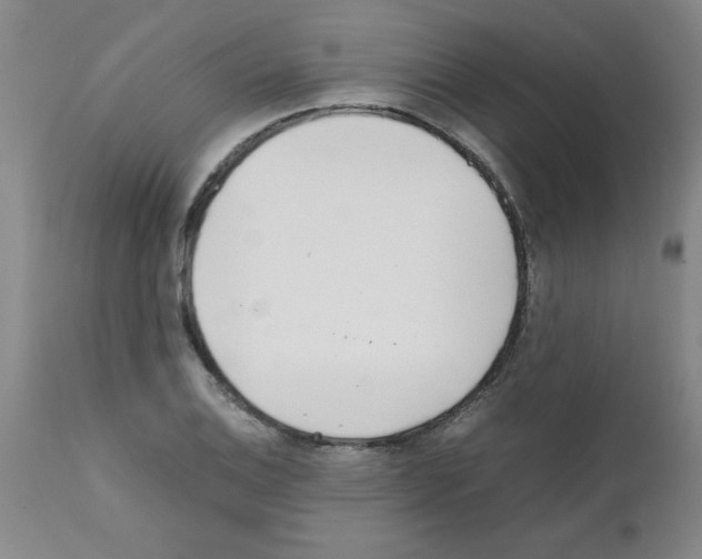 X0000111491124200908251019