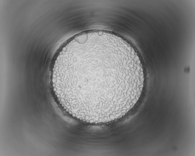 X0000111491125200908251019
