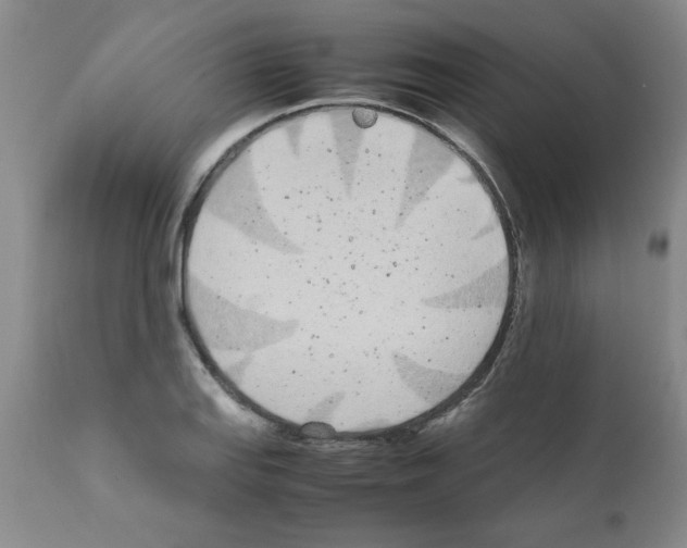 X0000111491127200908251019