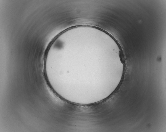 X0000111491128200908251019