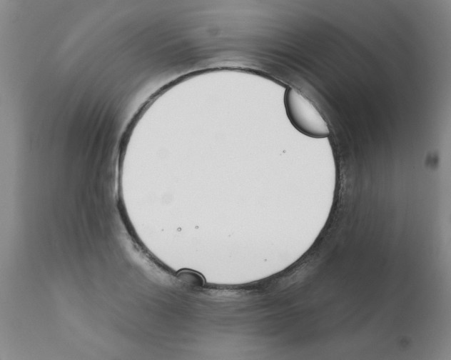 X0000111491132200908251019