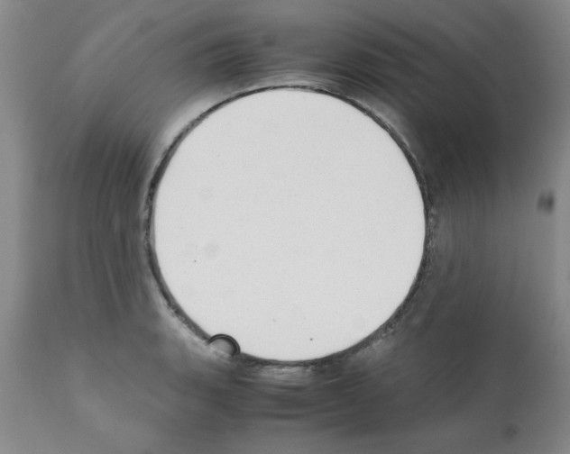 X0000111491135200908251019