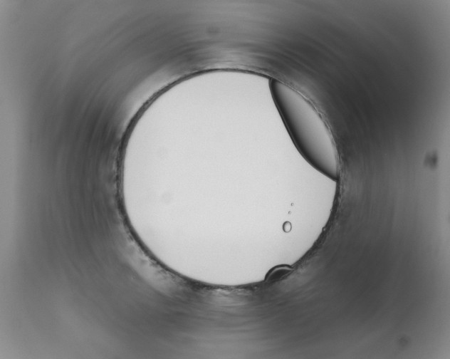X0000111491138200908251019