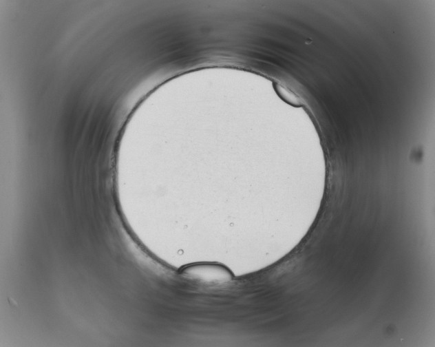 X0000111491143200908251019