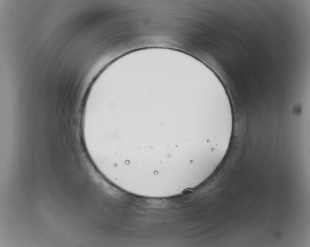 X0000111491144200908251019