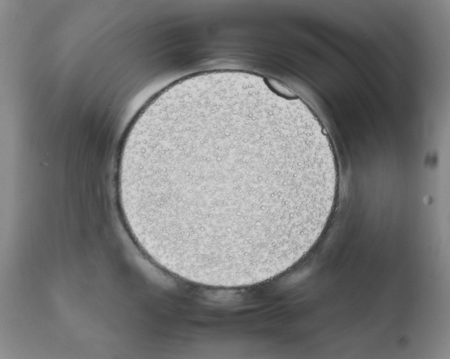 X0000111491149200908251019