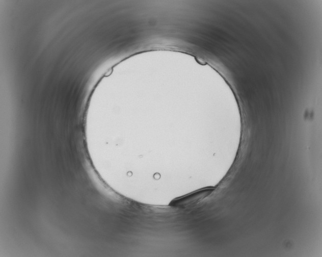 X0000111491152200908251019
