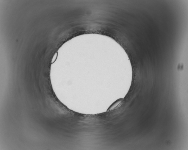 X0000111491153200908251019