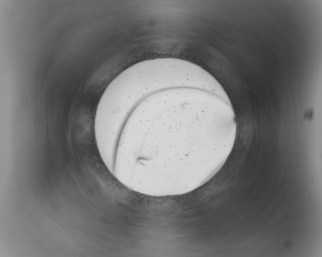 X0000111491154200908251019