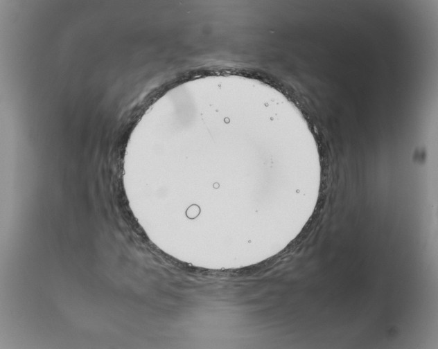 X0000111491157200908251019