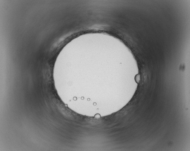 X0000111491158200908251018