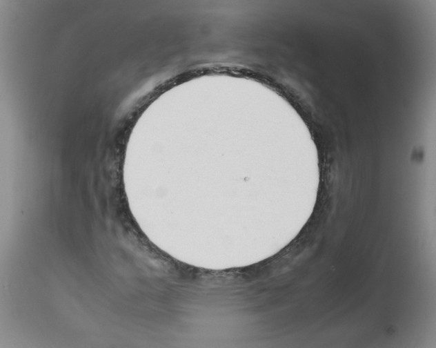 X0000111491159200908251018