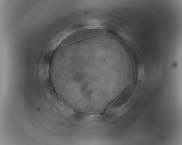 X0000111491161200908251018