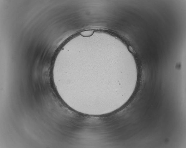 X0000111491162200908251018