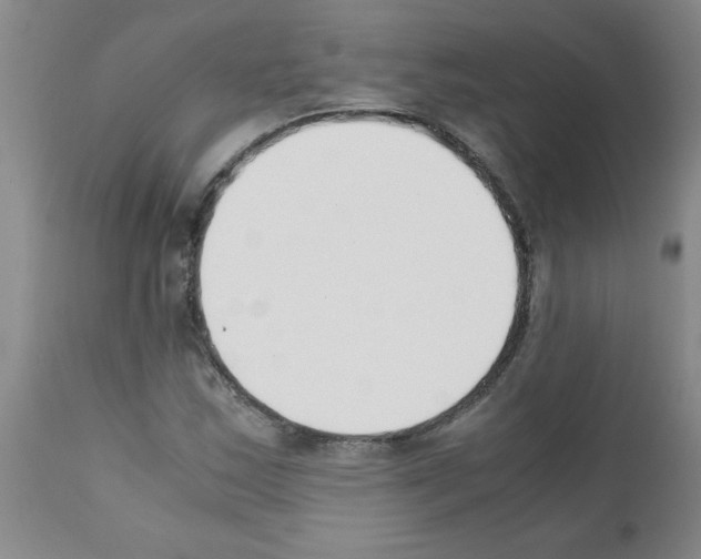 X0000111491163200908251018
