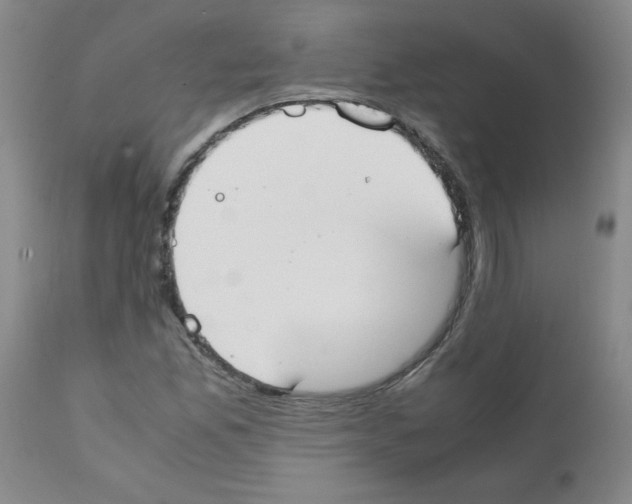 X0000111491165200908251018