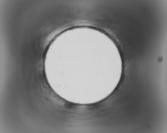 X0000111491167200908251018