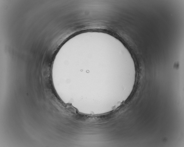 X0000111491169200908251018