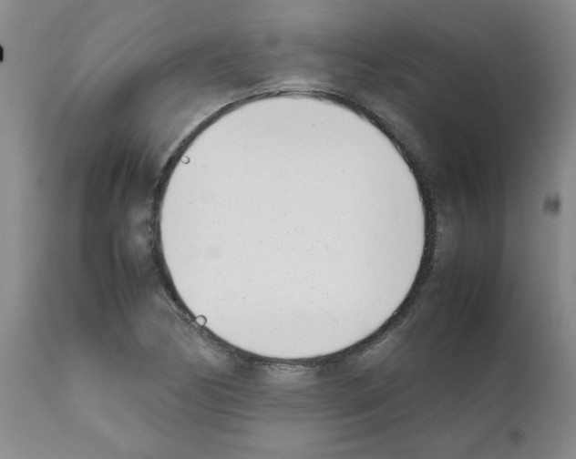 X0000111491170200908251018