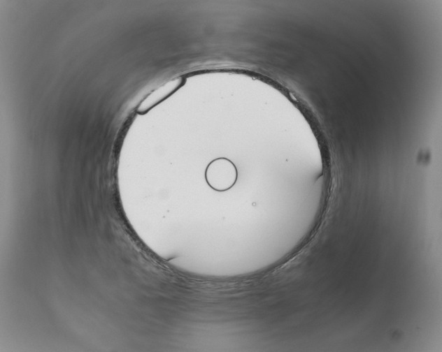 X0000111491173200908251018