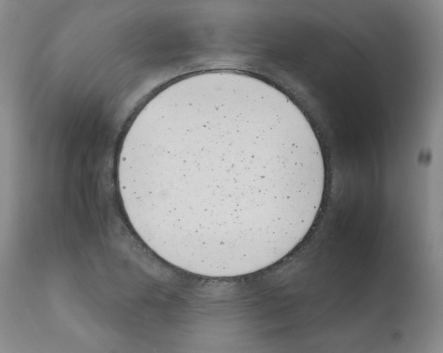 X0000111491174200908251018