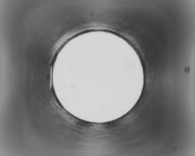 X0000111491175200908251018