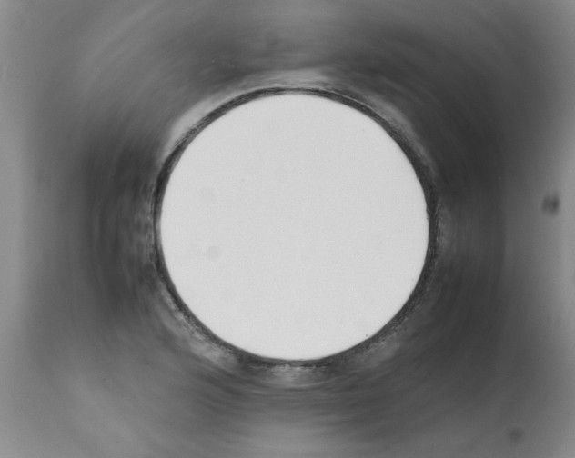 X0000111491176200908251018