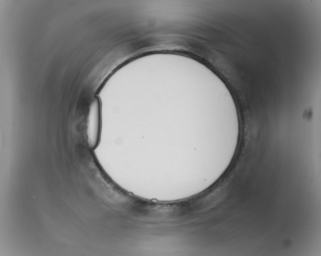 X0000111491177200908251018