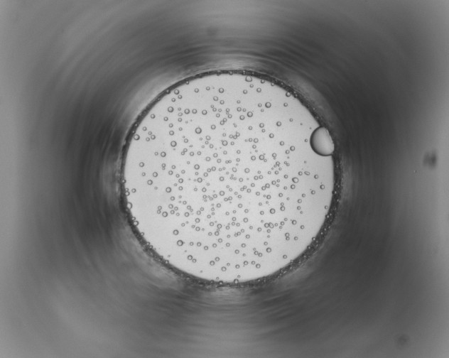 X0000111491178200908251018