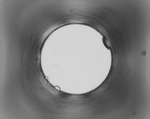 X0000111491179200908251018