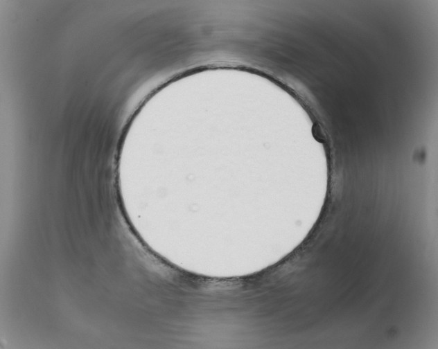 X0000111491183200908251018