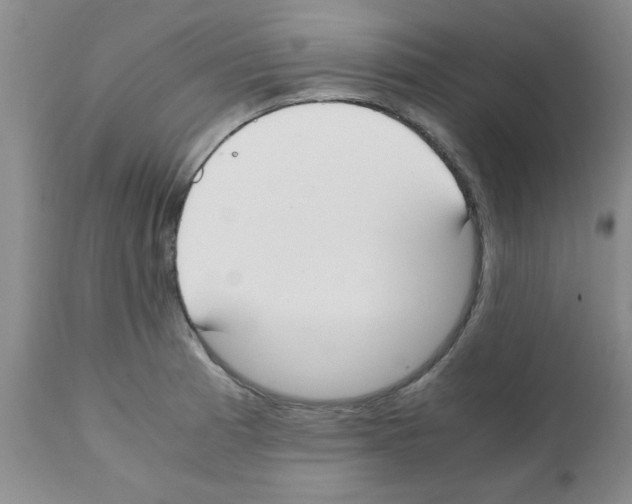 X0000111491185200908251018