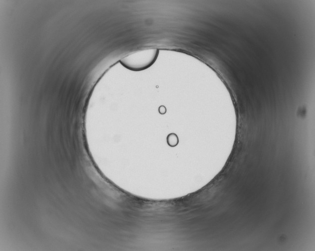 X0000111491187200908251018