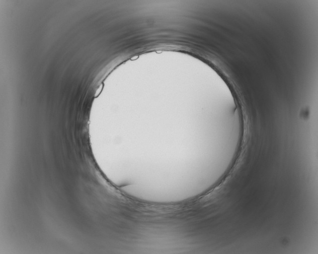 X0000111491193200908251018