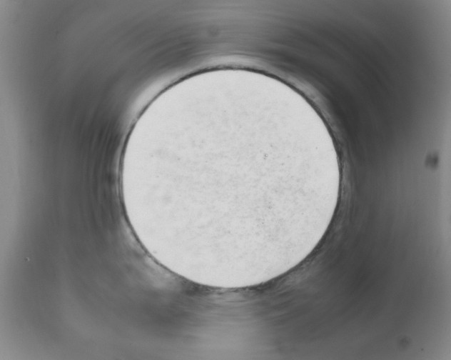 X0000111491199200908251018
