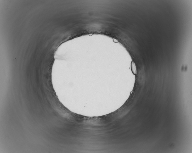 X0000111491201200908251017