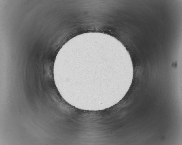 X0000111491202200908251017